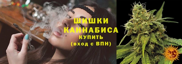 прущий лед Белокуриха